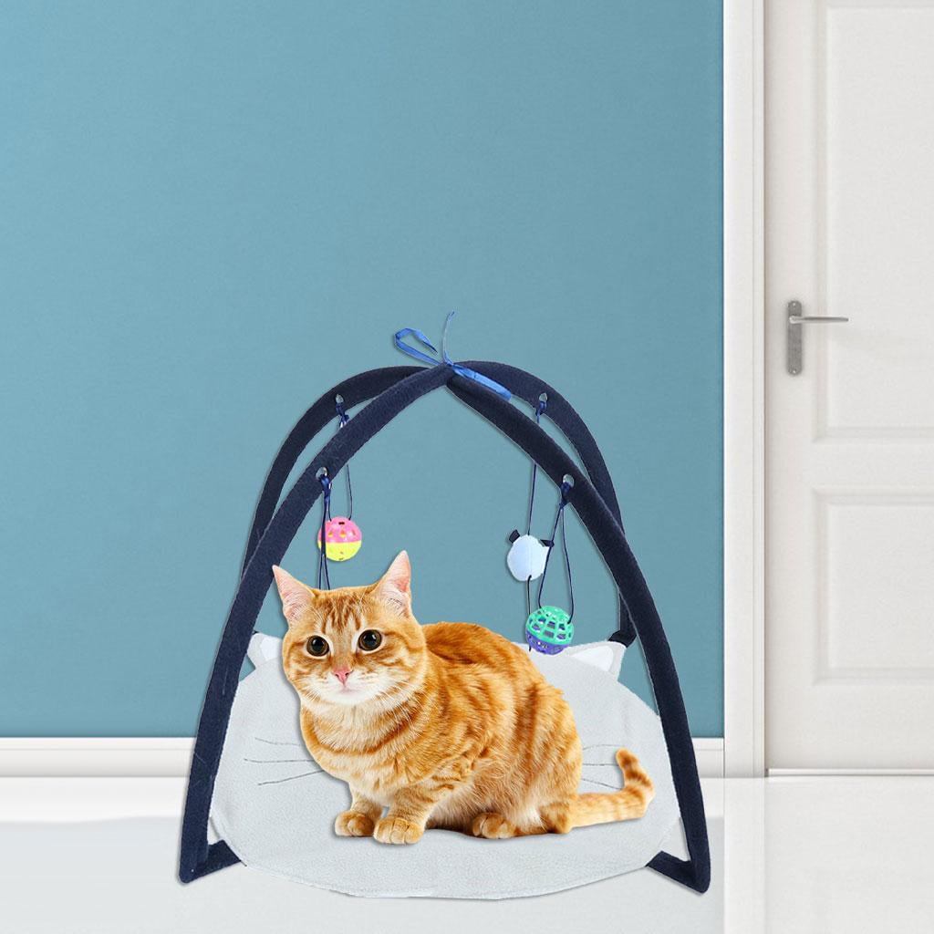 Kitten play tent 2025
