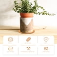 thumbnail image 4 of Assiette Ronde pour Jardin Chocolat 10 Pcs 3.9X3.9X0.2In, 4 of 7