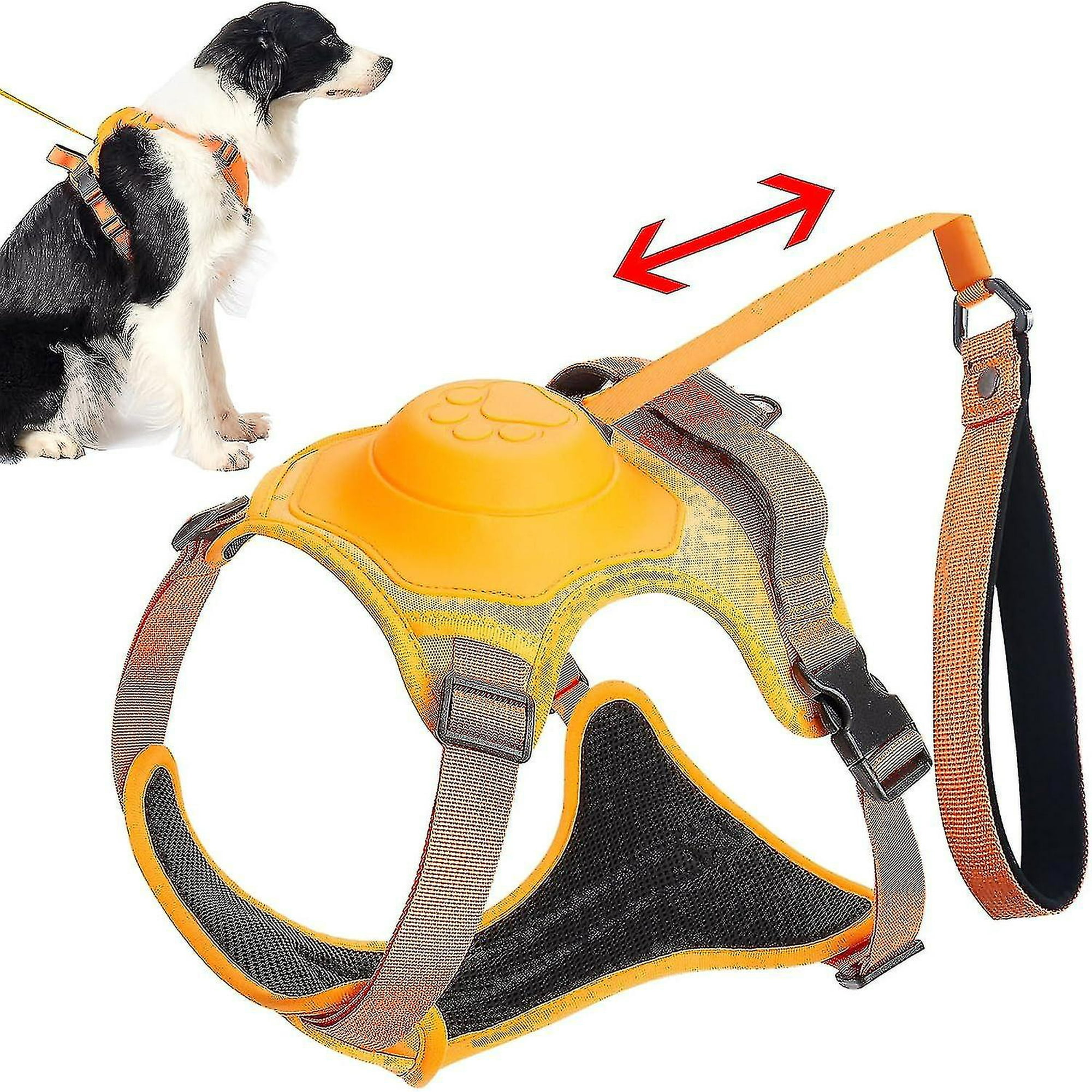 Dog leash harness combo hot sale