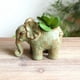 thumbnail image 3 of Maceta con forma de elefante de cerámica con diseño floral en relieve, 3 of 3