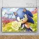 thumbnail image 3 of Fondo fotográfico de Sonic The Hedgehog para fotografía, suministros para fiestas de cumpleaños, baby shower, pancarta decorativa personalizada, 3 of 5