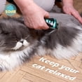 thumbnail image 3 of Cat Clippers for Grooming with 5-in-1 Blade Cordless Rechargeable Hair Trimmer Detachable Stainless Steel Blade Pet Shaver for Small Kitty Paw Face Head Body, 3 of 7