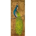 thumbnail image 2 of Josefina 12x24 White Modern Wood Framed Museum Art Print Titled - Peacocks II, 2 of 4