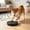 Black, variant on Pet Nail Scratch Board with Sandpaper | Rotating Slow Feeder Toy for Cats & Dogs | 2-in-1 Puzzle Treat Dispenser | Suction Cup Base | 12.99x12.99x1.57 in,Blue
