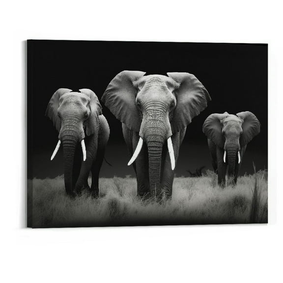 Fenyluxe Black White Elephant Contemporary African Animal Wall Art Canvas Print Framed Picture Modern Painting for Living Room Office Bedroom Decor 20x16 inch