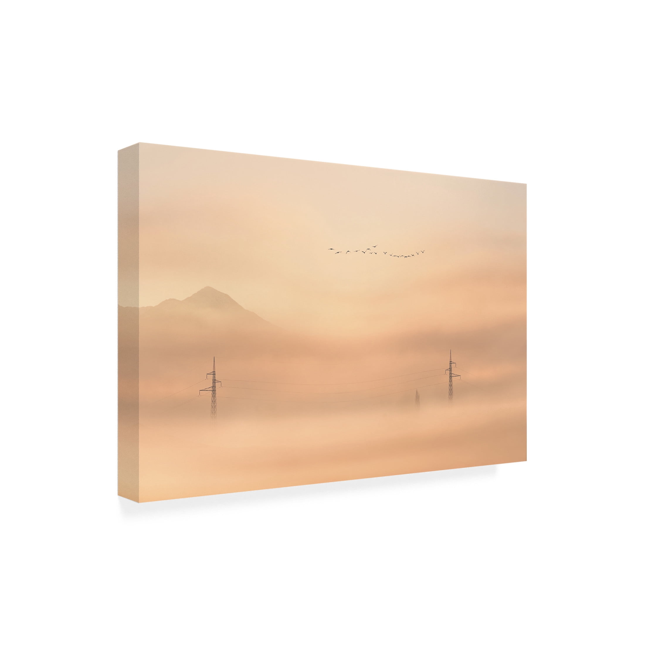 Canvas Wall Art - Todor Tanev 'Blurred Pylon' Wall Art for Living Room, Bedroom, or Office Décor by Trademark Fine Art - 19 x 12 Inches