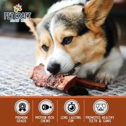 Pet Craft Supply Beef Rib Bones All Natural Healthy Dog Chews Treats for Aggressive Chewers Long Lasting Rawhide Free, Premium Grade Slow Roasted for Puppies Small Medium Dogs, Pack of 10
