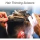 thumbnail image 1 of Kit de tijeras de corte de pelo, juego de tijeras de peluquería profesional, corte de barba, modelado, adelgazamiento ZefeiWu 8390614835658, 1 of 1