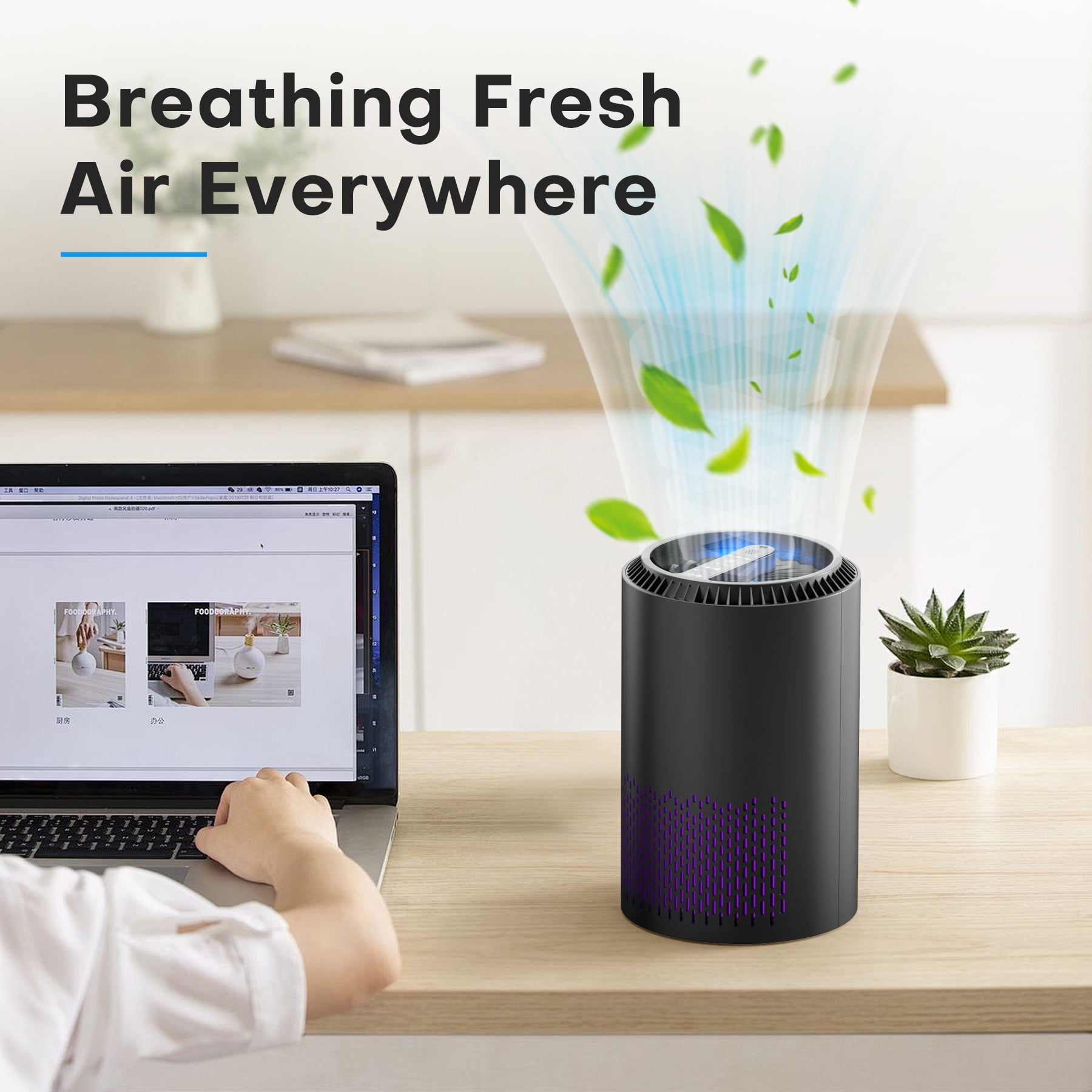 BREEZOME HEPA Air Purifier Remove PM10, PM2.5, Dust, Cotton Lint, Hair Air Cleaner for Home Bedroom, Black
