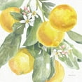 thumbnail image 2 of Grove, Beth 12x12 Gold Ornate Wood Framed with Double Matting Museum Art Print Titled - Citrus Charm Lemons II, 2 of 4