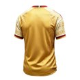 thumbnail image 4 of Mexico Soccer Jerseys Men, Mexican Jersey Soccer, Jersey De Mexico, Mexico National Team Soccer Jersey, Short Sleeve Football Shirt, Casual Sport Training Uniform for Adult Yellow L, 4 of 4