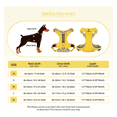 thumbnail image 2 of Pechera Belug  Arnés Seguridad Para Perro AMARILLO talla G, 2 of 5