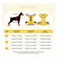 thumbnail image 2 of Pechera Belug  Arnés Seguridad Para Perro AMARILLO talla G, 2 of 5