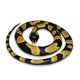 thumbnail image 1 of WILD REPUBLICA Serpiente de Goma, Bola de Pitón Juguete, Regalos Niños Wild Republic WILD REPUBLIC, 1 of 2