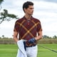 thumbnail image 3 of Balery Buffalo Check Plaid Camisa Polo de Hombre con Estampado, de Manga Corta y Tejido Medio, Camisa Tipo Golf Polo-3X-Large, 3 of 6