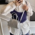 thumbnail image 2 of Bolsos de alta gama para mujer, nuevo estilo 2025, bolso bandolera versátil de nicho, bolso informal de un solo hombro para ir al trabajo., 2 of 5