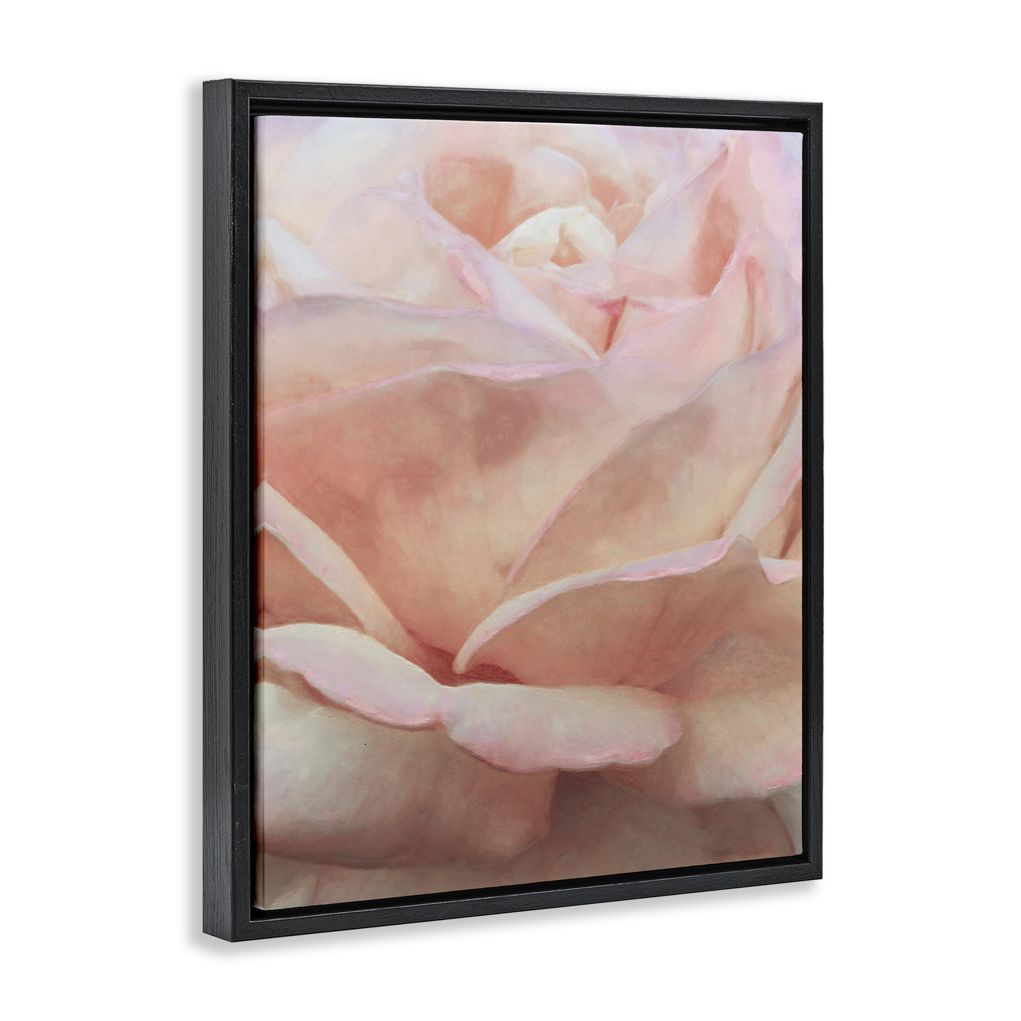Stupell Industries Soft Rose Petals Botanical & Floral Painting Black Floater Framed Art Print Wall Art, 25 x 31