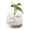 thumbnail image 1 of Macetero de cristal para decoración de escritorio, macetero de flores con soporte de madera, soporte transparente para plantas para el hogar, jardín Grande, 1 of 10