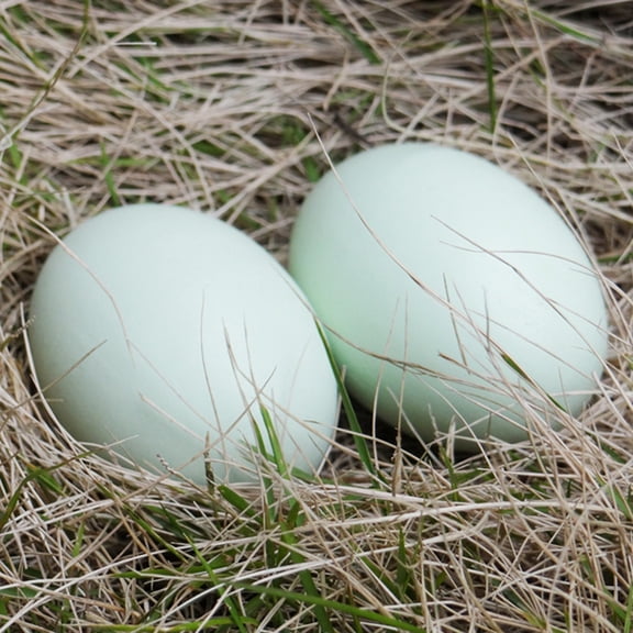 Simulation Easter Eggs,Wooden Easter Egg Solid Fake Egg 2.3 Inch Decorative Craft Egg for Easter Decoration Painting DIY Home Spring Decor