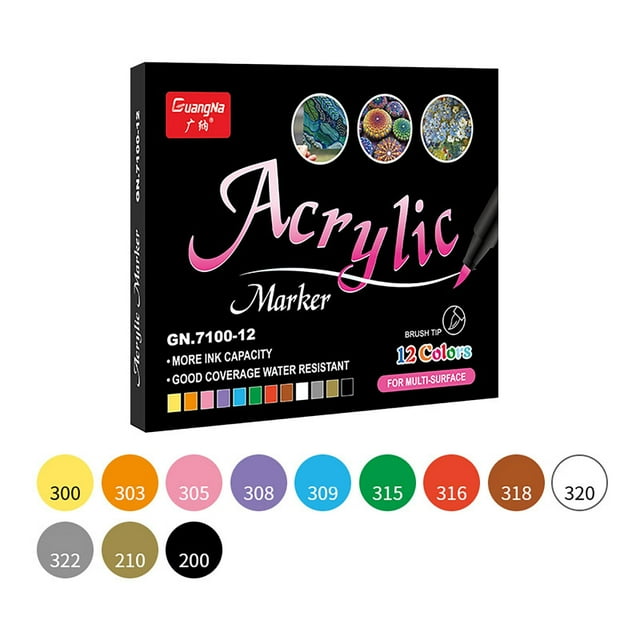 Fiudx Juego de 12 Marcadores Acrílicos de Pintura, Punta Doble, Fina y Gruesa, Secado Rápido, Tinta a Base de Agua, Apto para Múltiples Superficies, Ideal para Proyectos de Arte y Manualidades, 10 Ml
