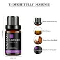 thumbnail image 5 of MAYJAM 100% Pure & Natural Lavender Essential Oil for Aromatherapy & Diffuser - 10ml, 5 of 6