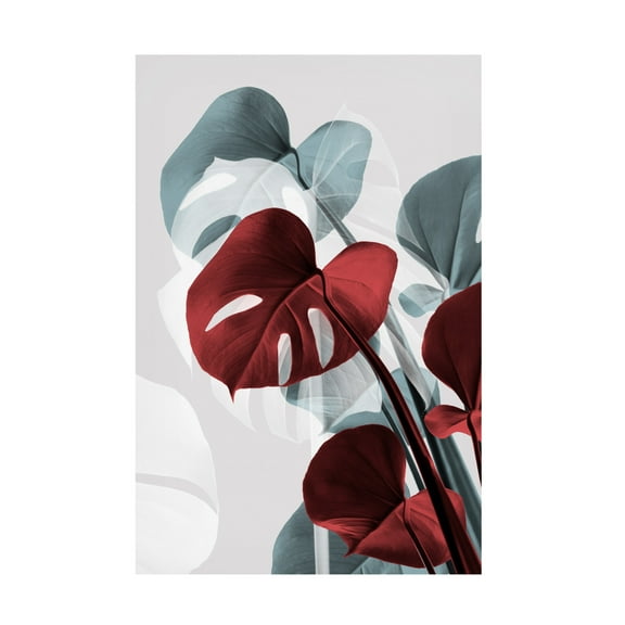 Trademark Fine Art Pictufy Studio Monstera Creative 15 Canvas Wall Art