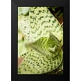 thumbnail image 2 of Berzel, Erin 11x14 Black Modern Framed Museum Art Print Titled - Green and White I, 2 of 5