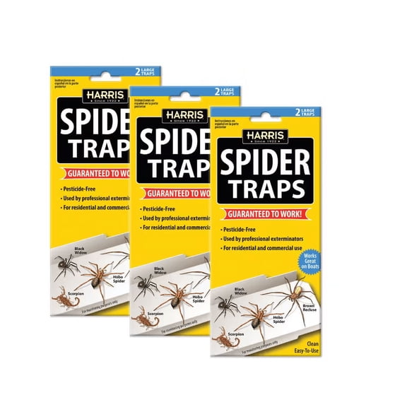 Spider Glue Traps (6-Pack)