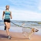 thumbnail image 5 of Hands Free Dog Lead with Reflective Bungee,Adjustable Waist Belt,Dual-Handle Dog Leash, 5 of 5