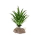 thumbnail image 2 of Planta Terrario Acuario Planta Acuática Complimentos Acuario QM-15 Zulema Planta de terrario de reptiles, 2 of 8