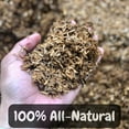 Horticultural Grade Rice Hulls (1 Quart); All Natural Organic for House Plants and Chicken