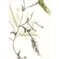 thumbnail image 2 of Goldberger, Jennifer 18x24 Black Ornate Wood Framed with Double Matting Museum Art Print Titled - Under Sea Forest V, 2 of 4