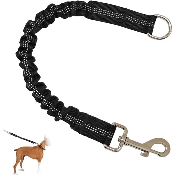 Shock absorber for dog leash, dog training leash, dog bungee leash, bicycle leash, leash extension, reflective for walks, training, jogging, cycling