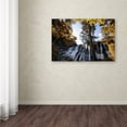 thumbnail image 2 of Trademark Fine Art "Waterfalls" Canvas Art by Philippe Hugonnard, 2 of 2