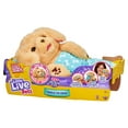 thumbnail image 5 of Little Live Pets - Cozy Dozys: Charlie The Puppy, Interactive Plush Toy Dog, 25+ Sounds and Reactions, Magical Eye Movement, Blanket, Pacifier and Batteries Included. For Kids Ages 4+., 5 of 23