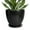 Matte Black, variant on 6 inch Matte Black Ceramic Planter Pot with Saucer | Modern Decorative Indoor Outdoor Plant Pot for Houseplants & Succulents