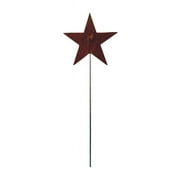 Star Rusted Garden Stake