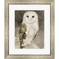 thumbnail image 1 of Great Art Now Snowy Owl 1 by Stellar Design Studio, Framed Wall Art, 20W x 23.5H, 1 of 2