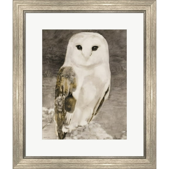 Great Art Now Snowy Owl 1 by Stellar Design Studio, Framed Wall Art, 20W x 23.5H
