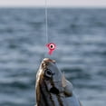 thumbnail image 3 of Eye Colorful Heads Fishing with Snag Barbed Hooks for Saltwater Freshwater Durable Core Attractants 10PCS, 3 of 3