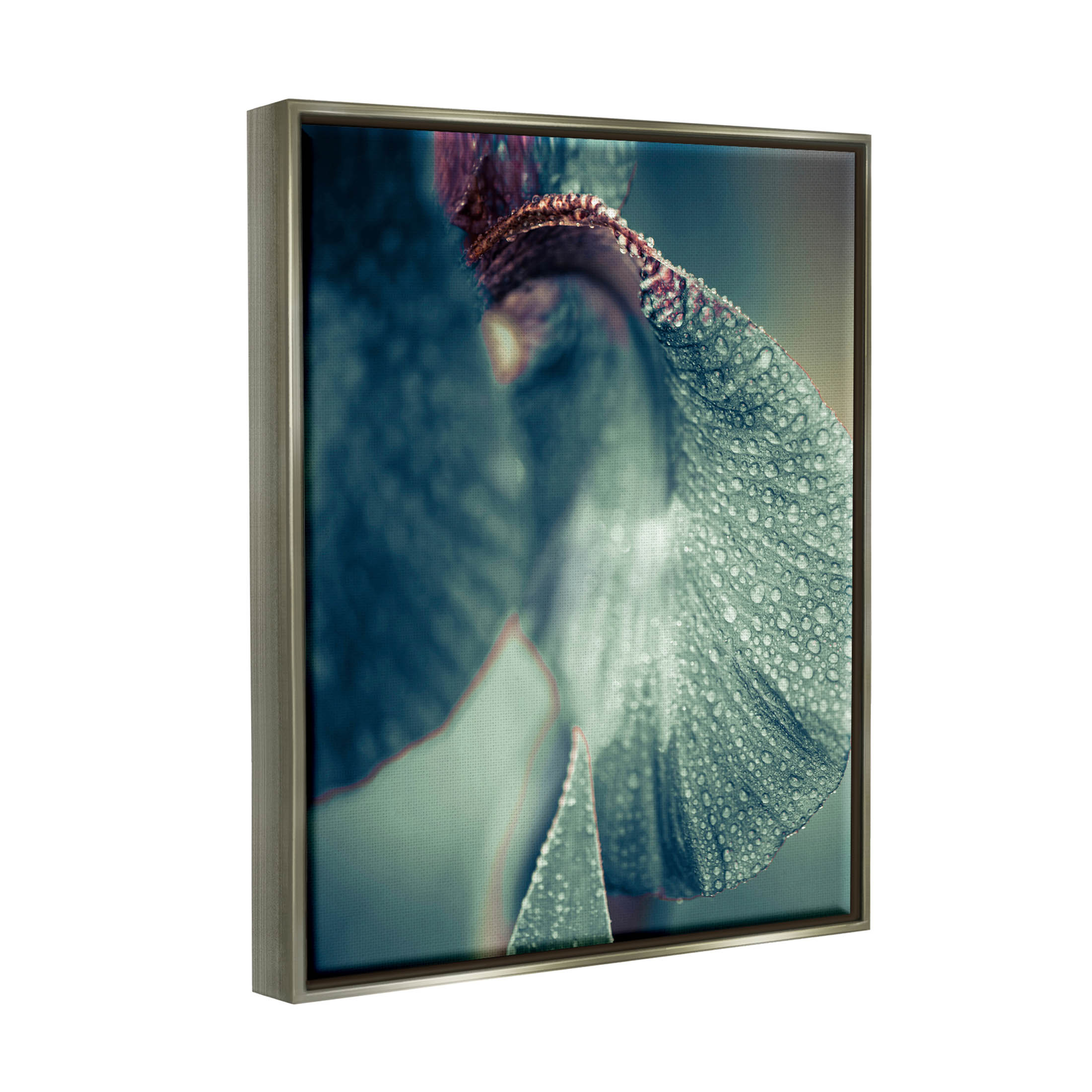 Close Up Water Drip Petals Botanical & Floral Photograph Luster Gray Framed Art Print Wall Art
