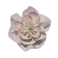 thumbnail image 1 of Xiao Hua 10 flores de papel crepé de 20 cm para decoración de pared, bodas, fondos florales, baby shower, fiestas de cumpleaños, fotos, arcos, guarderías, color melocotón., 1 of 4