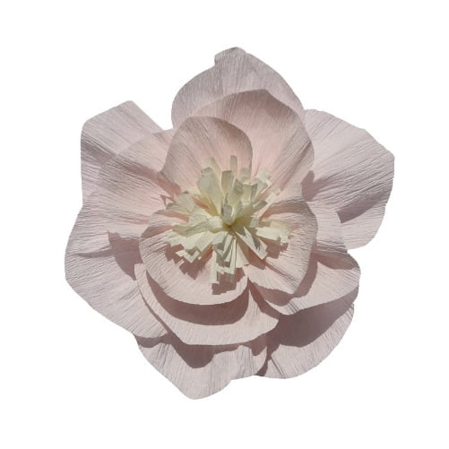 Xiao Hua 10 flores de papel crepé de 20 cm para decoración de pared, bodas, fondos florales, baby shower, fiestas de cumpleaños, fotos, arcos, guarderías, color melocotón.