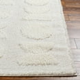 thumbnail image 4 of BoutiqueRugs Dason Farmhouse Area Rug - Off White, Beige, Medium Gray - 2' x 3', 4 of 6