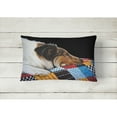 thumbnail image 2 of Carolines Treasures AMB1037PW1216 Day Dreamer Collie Fabric Decorative Pillow 12H x16W multicolor, 2 of 3