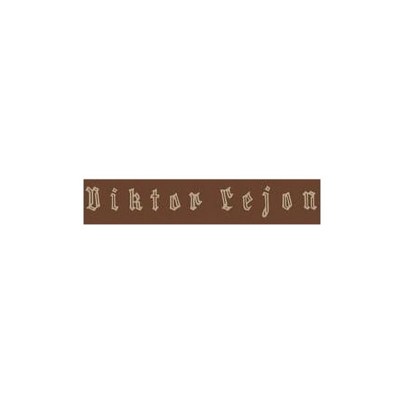 Viktor Lejon: Roman, (Paperback)