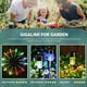 thumbnail image 2 of Juego de 12 luces solares para jardín, 6 colores, iluminación LED de acero inoxidable para caminos, patios y jardines., 2 of 5