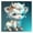 SX02, variant on 5D DIY diamond Art painting Kit for Adults Kids, 12 inch Full Drill Animal Cat Mosaic Art Crystal Rhinestone Embroidery Picture Wall Decor