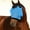 Sky Blue, variant on Horse Fly Mask with Ears, Full Face Fine Mesh UV Protection Fly Mask for Horses, Adjustable Breathable Insect Shield for Pony, Miniature, Draft, Cob & Arabian Horses, Size 30 x 15.35 Inches