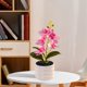 thumbnail image 2 of Orquídea bonsái artificial, decoración de escritorio de oficina para bodas, blanco y rosa con rayas, 2 of 6